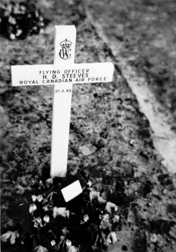 (3) Steevie Steeves original marker