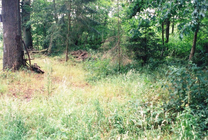 6 Crash site Mosquito MM150 July 2003